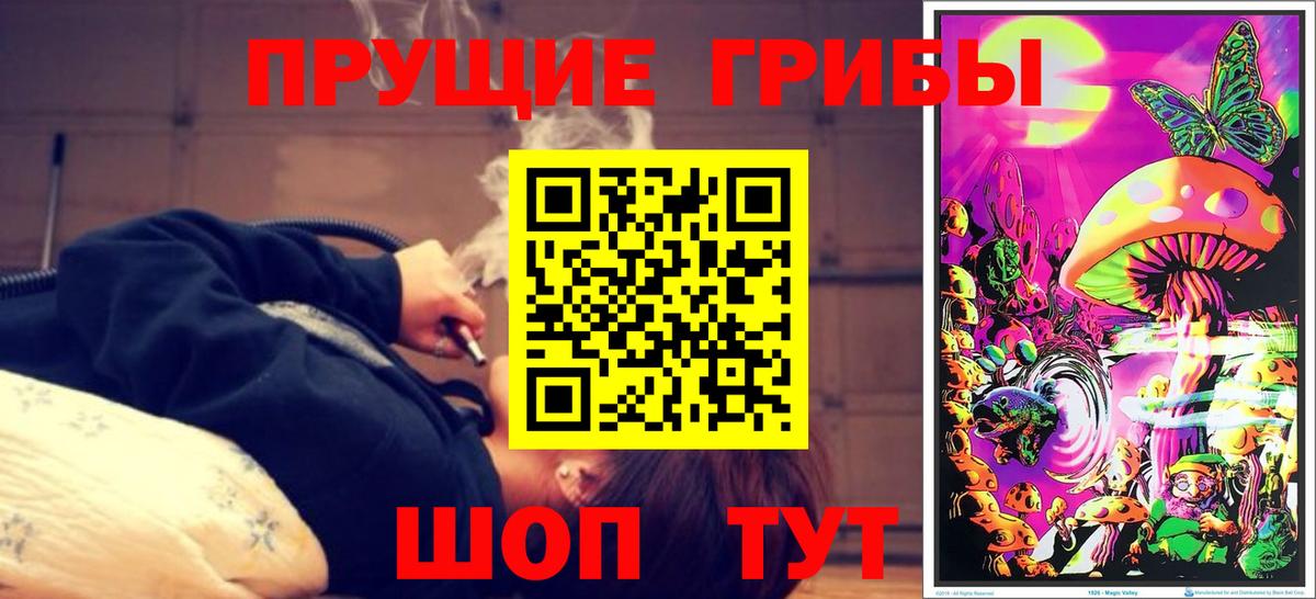 Галлюциногенные грибы Psilocybine cubensis Павловский Посад