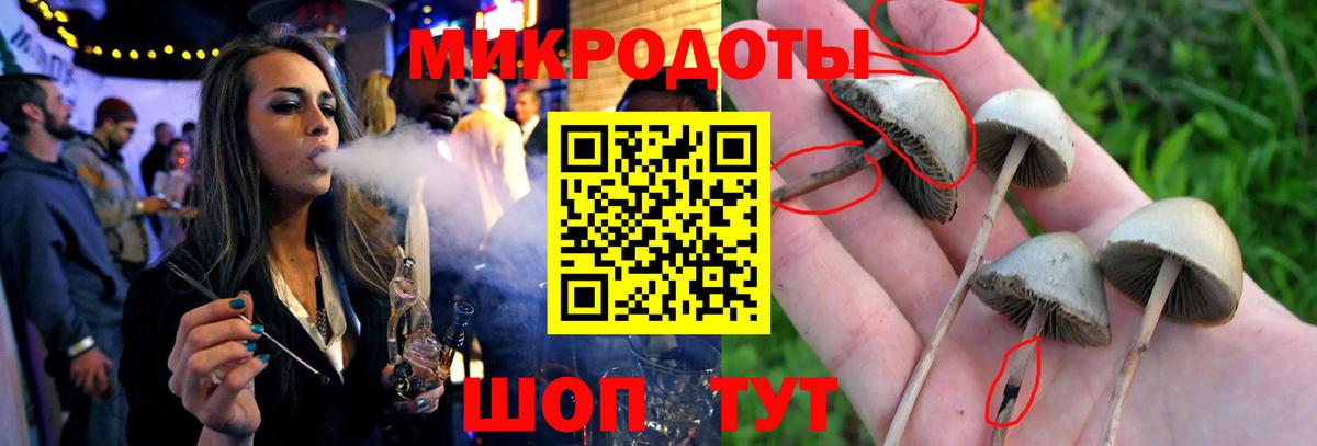 Павловский Посад  Псилоцибиновые грибы Cubensis  Псилоцибиновые грибы мухоморы  Вход с VPN 
